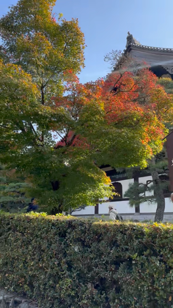 東福寺 | 去趣 chicTrip