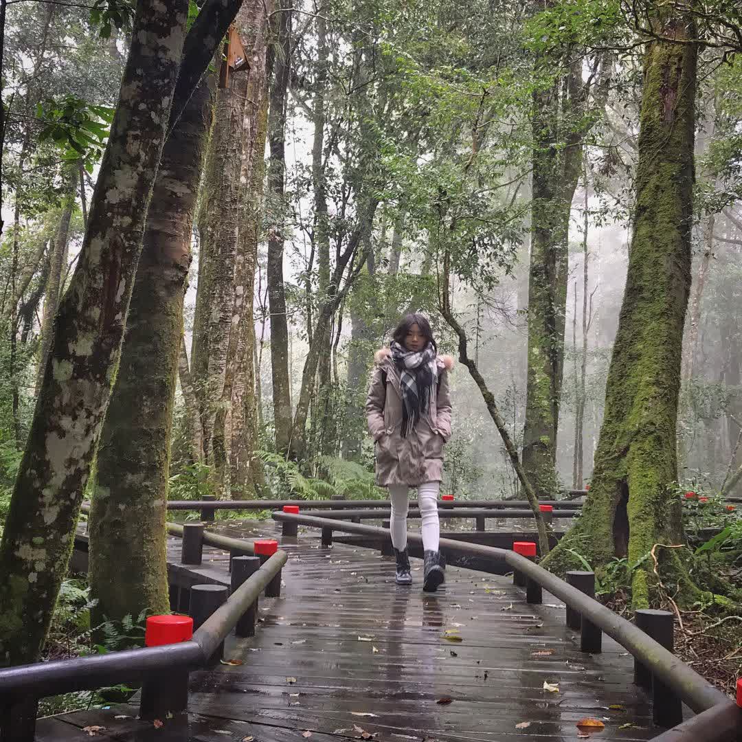 雪見遊憩區 | 去趣 chicTrip