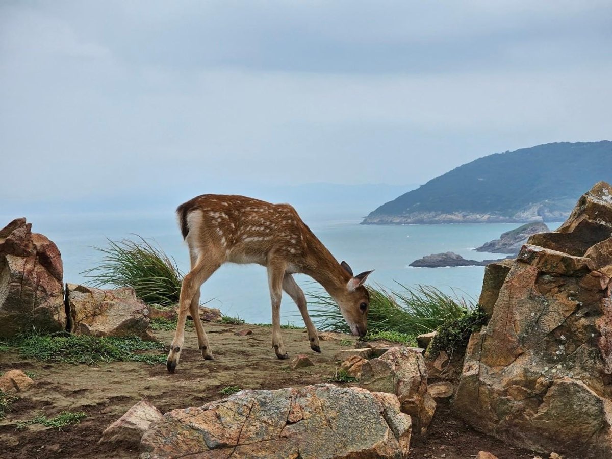 大坵島 | 去趣 chicTrip