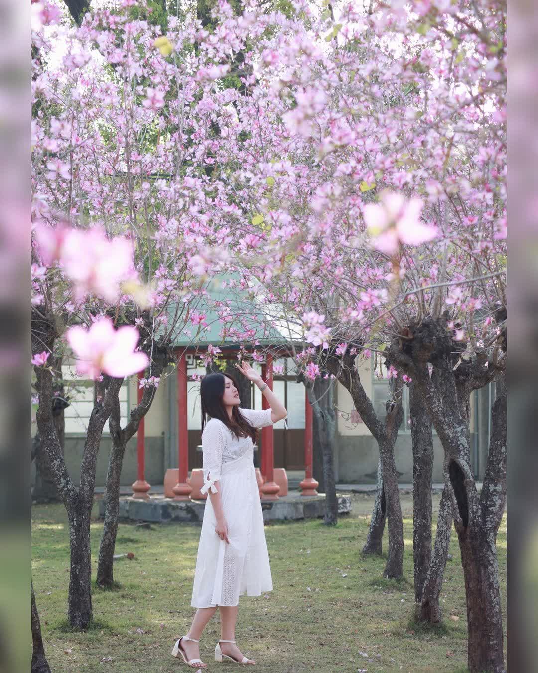 溪湖糖廠 | 去趣 chicTrip