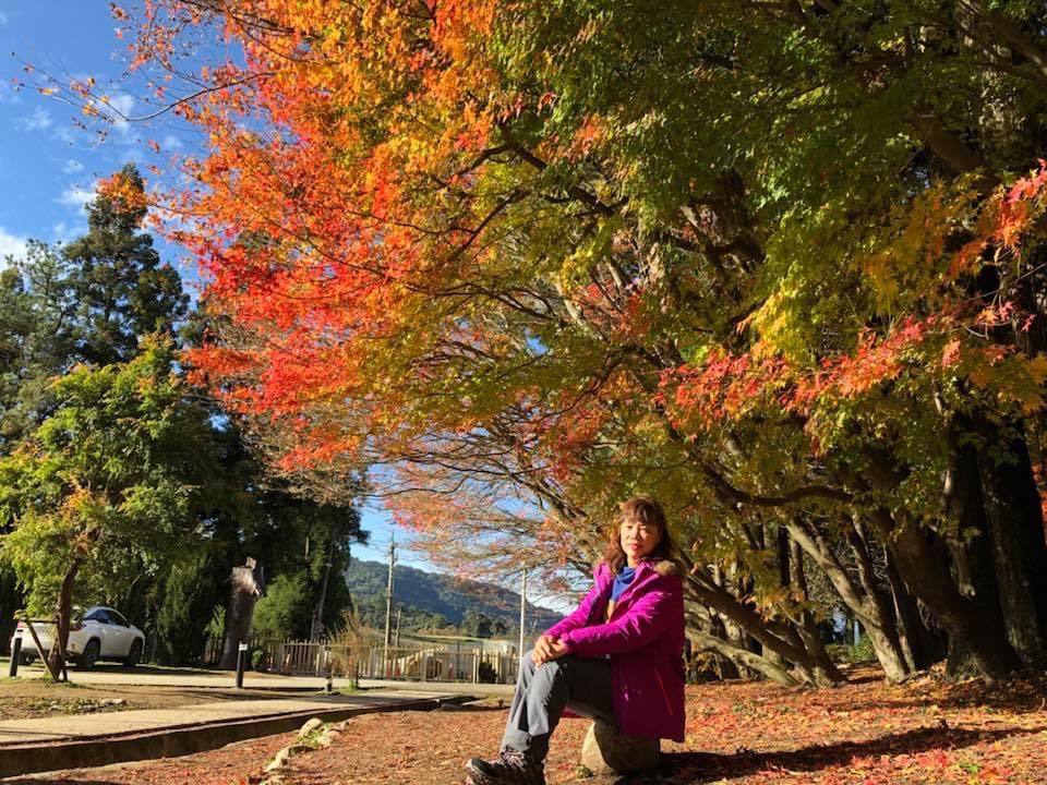 福壽山農場 | 去趣 chicTrip