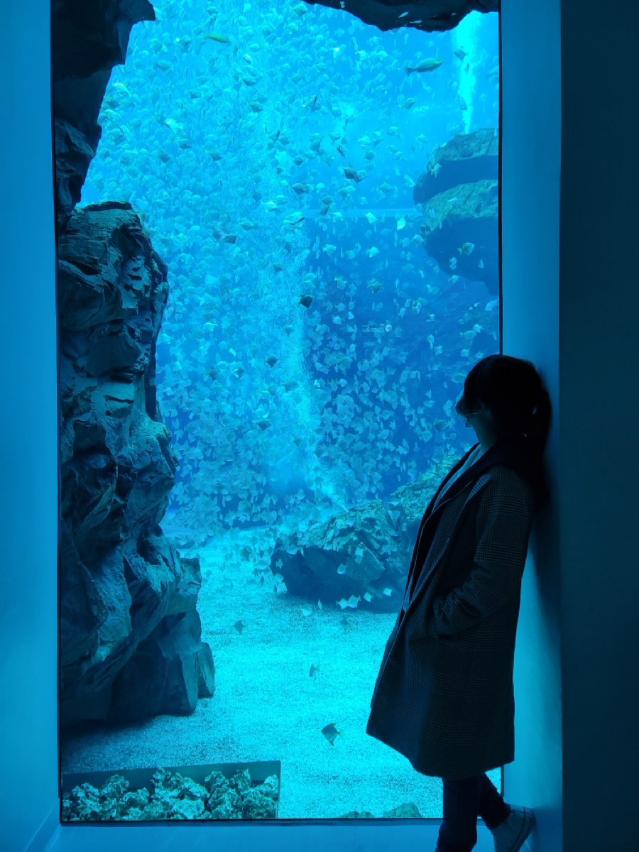 Xpark 水族館 | 去趣 chicTrip