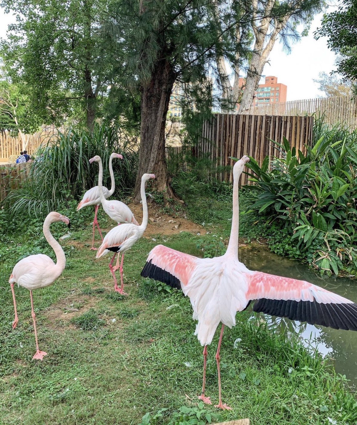 新竹市立動物園 | 去趣 chicTrip