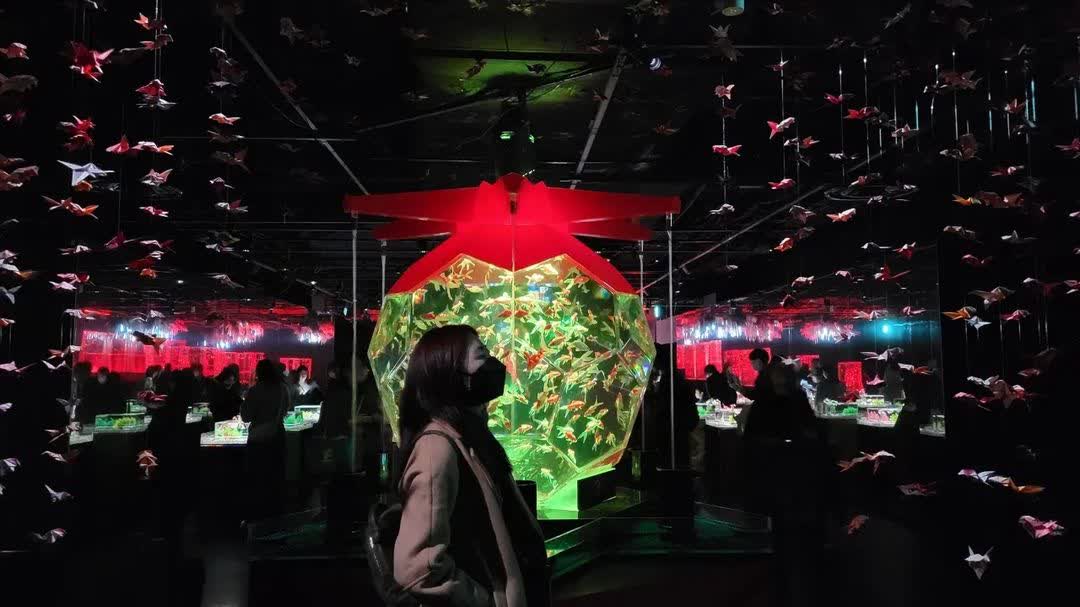 ART AQUARIUM MUSEUM 銀座金魚美術館 | 去趣 chicTrip