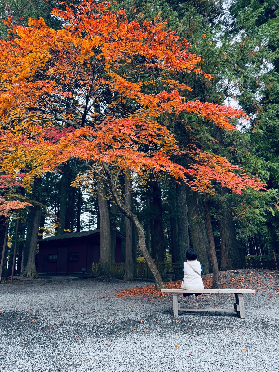 北口本宮富士淺間神社 | 去趣 chicTrip
