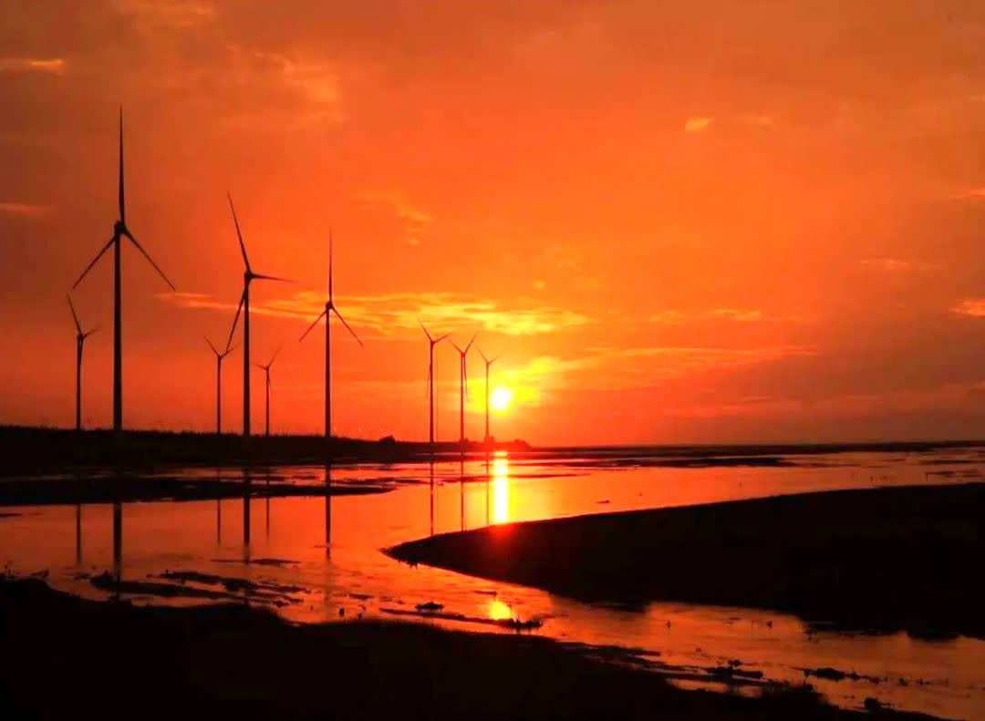 高美濕地 | 去趣 chicTrip