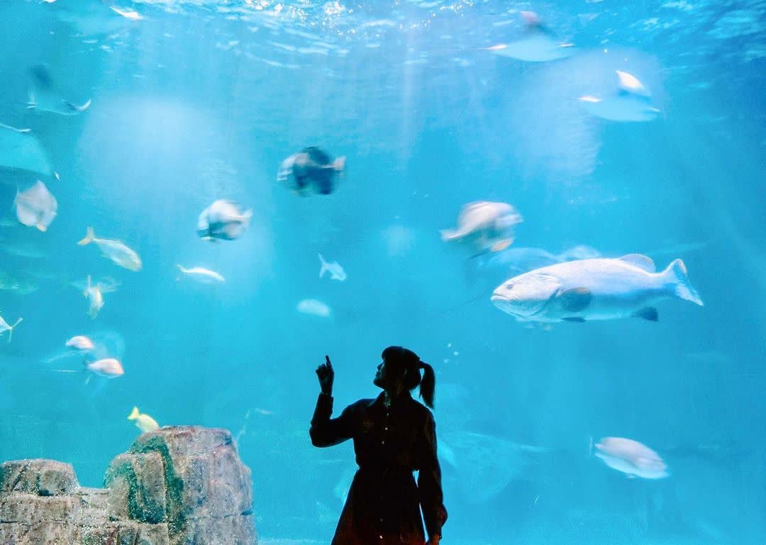 遠雄海洋公園 | 去趣 chicTrip