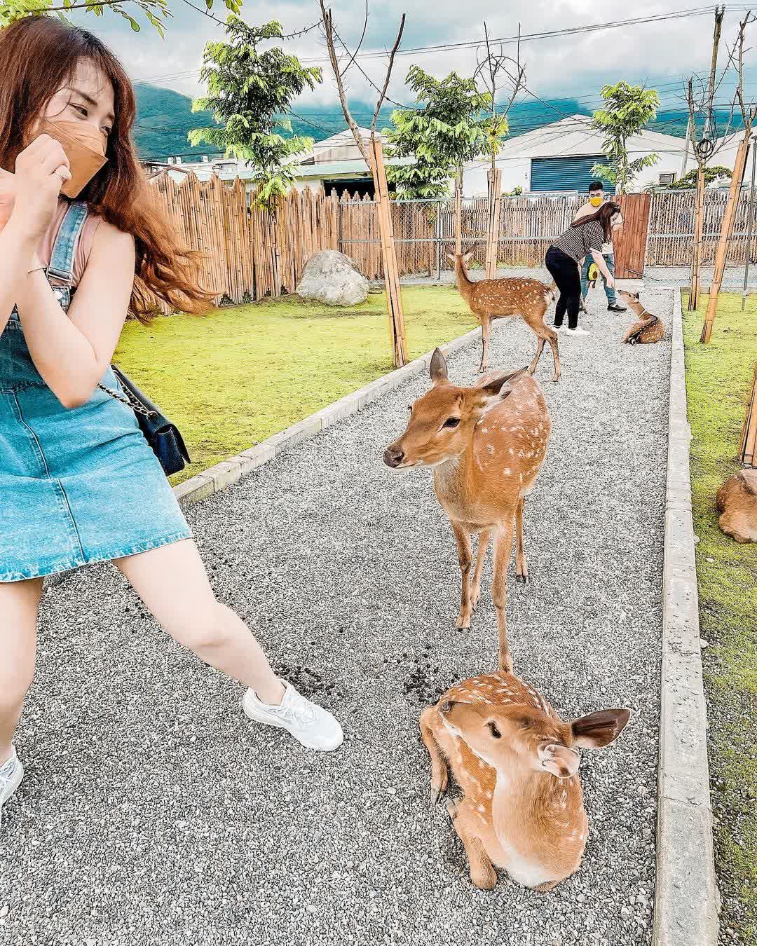 張家樹園 | 去趣 chicTrip