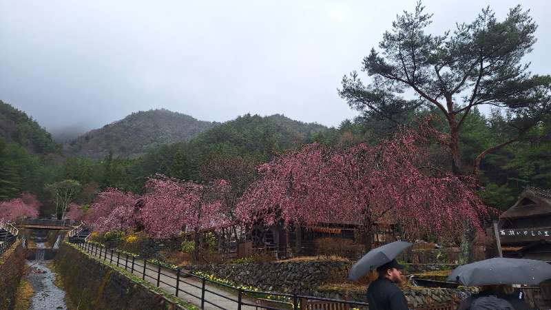 西湖 療癒之里 根場 | 去趣 chicTrip