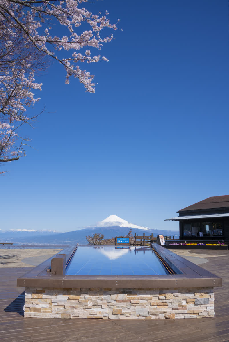 伊豆全景公園 | 去趣 chicTrip