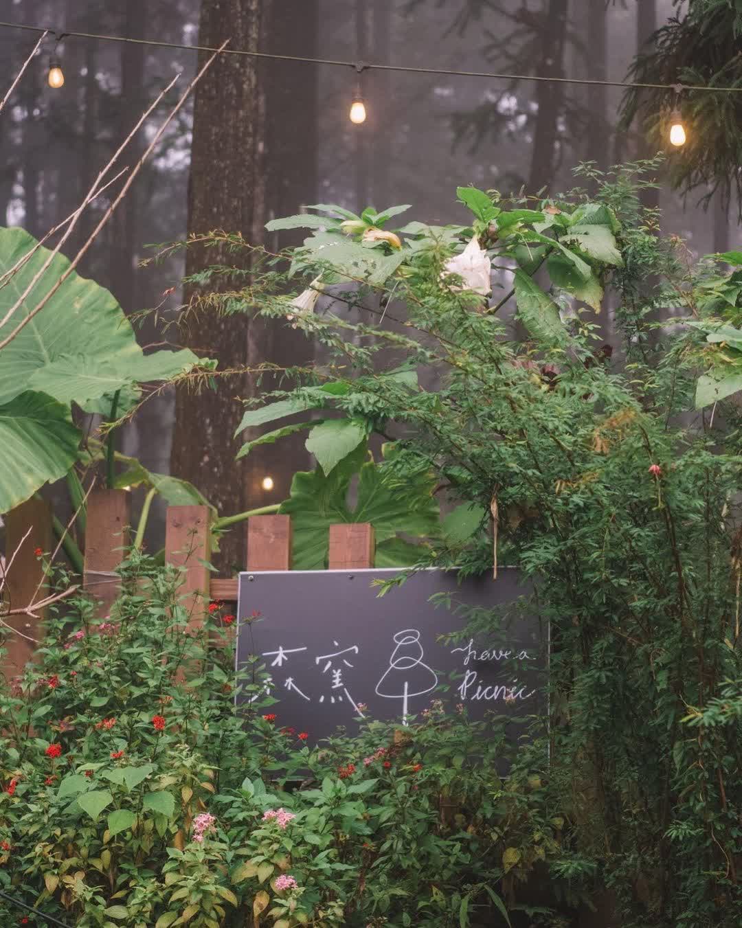 森窯have a Picnic | 去趣 chicTrip
