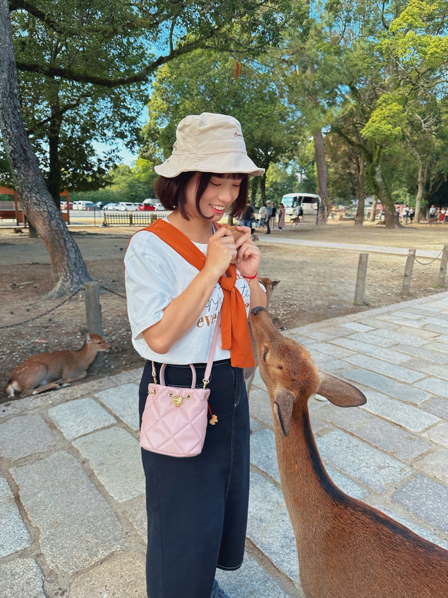 奈良公園 | 去趣 chicTrip