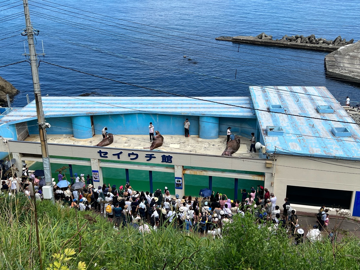 小樽水族館 | 去趣 chicTrip