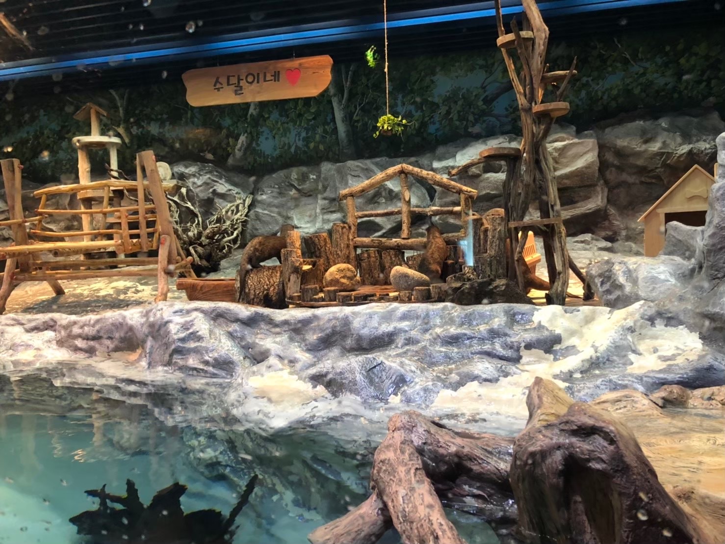 SEA LIFE COEX, Seoul Aquarium | 去趣 chicTrip