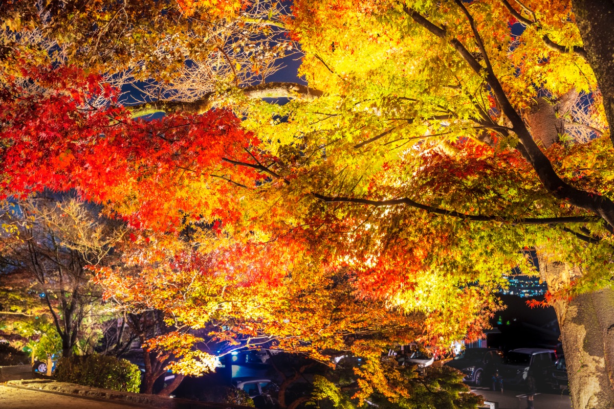 寶滿宮 竈門神社 | 去趣 chicTrip