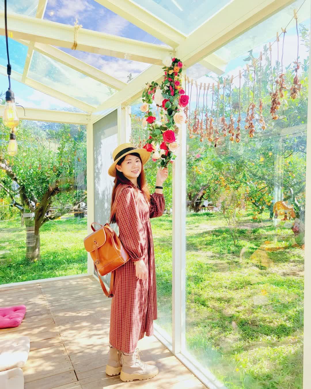 橙香森林 | 去趣 chicTrip