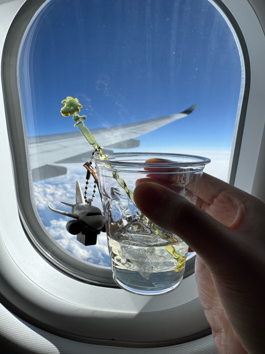 桃園機場第一航廈 | 去趣 chicTrip