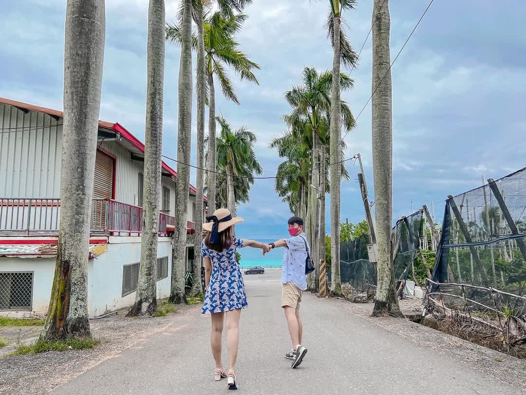 華源椰林大道 | 去趣 chicTrip