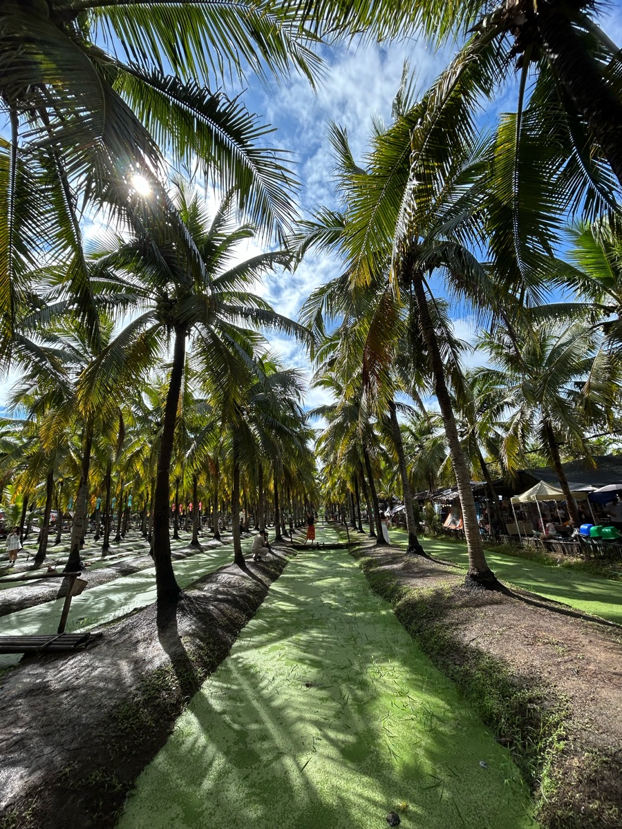 清邁椰林市集 (Coconut Market) | 去趣 chicTrip