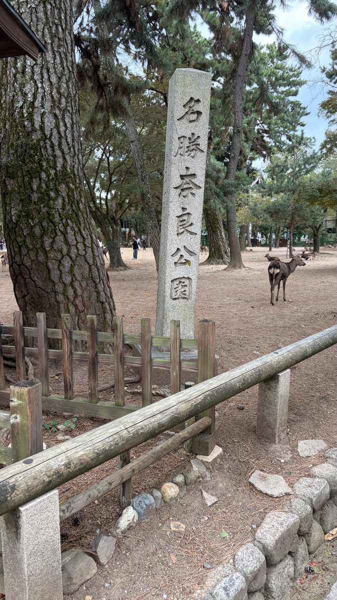 奈良公園 | 去趣 chicTrip