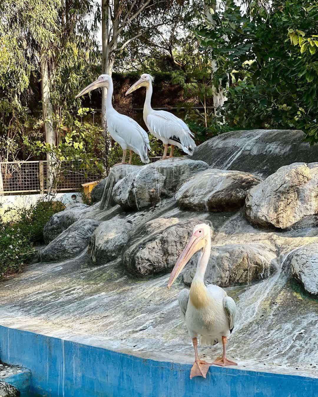 頑皮世界野生動物園 | 去趣 chicTrip