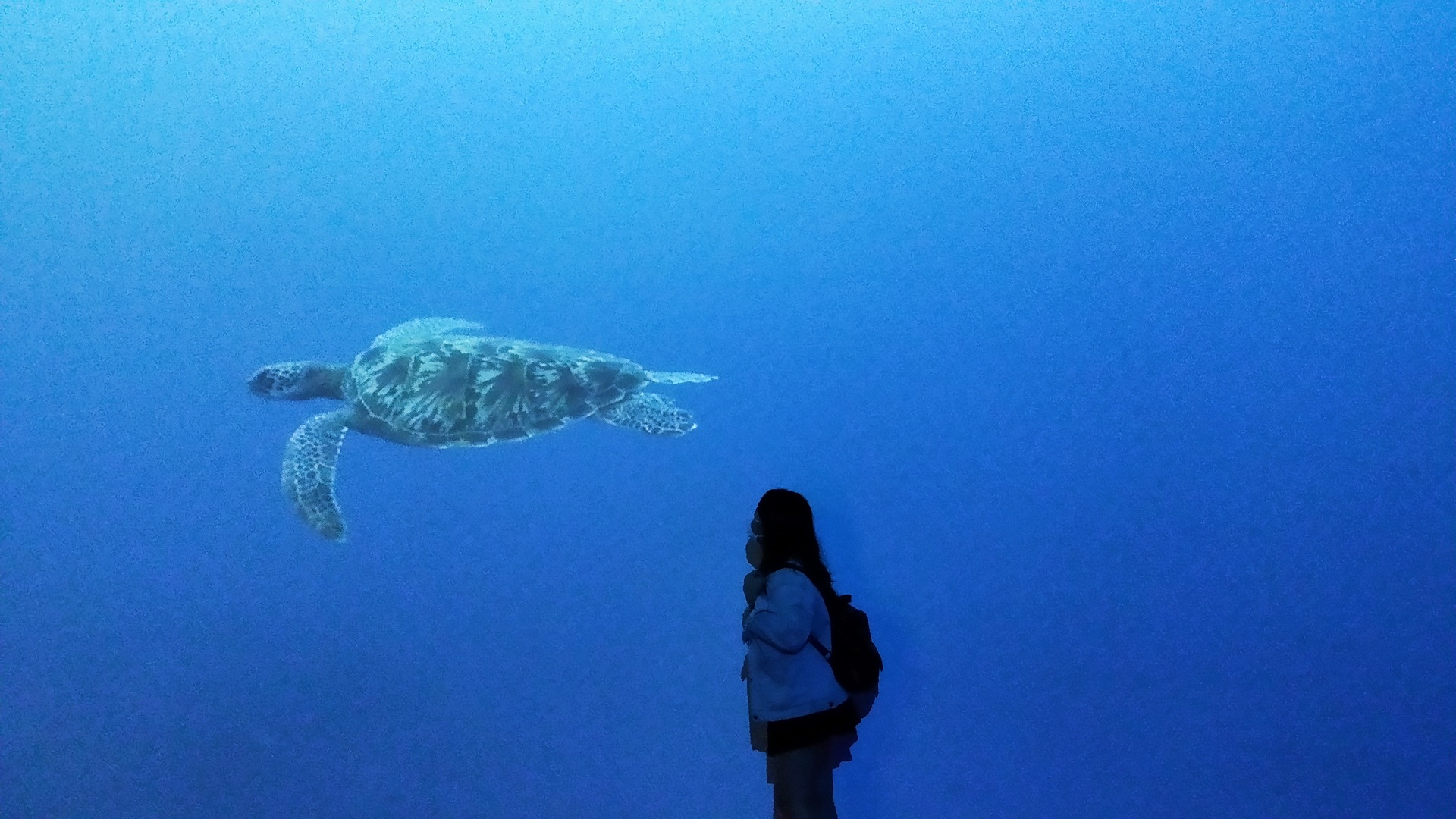 國立海洋生物博物館 | 去趣 chicTrip