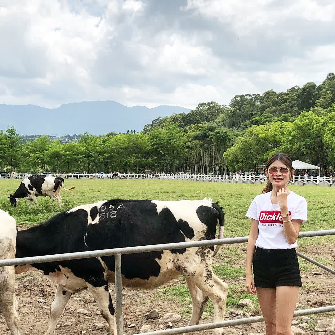 瑞穗牧場 | 去趣 chicTrip