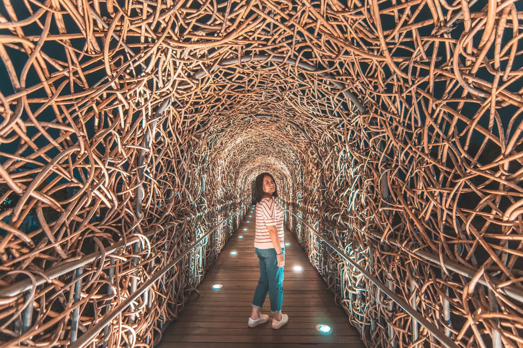 森林之歌 | 去趣 chicTrip