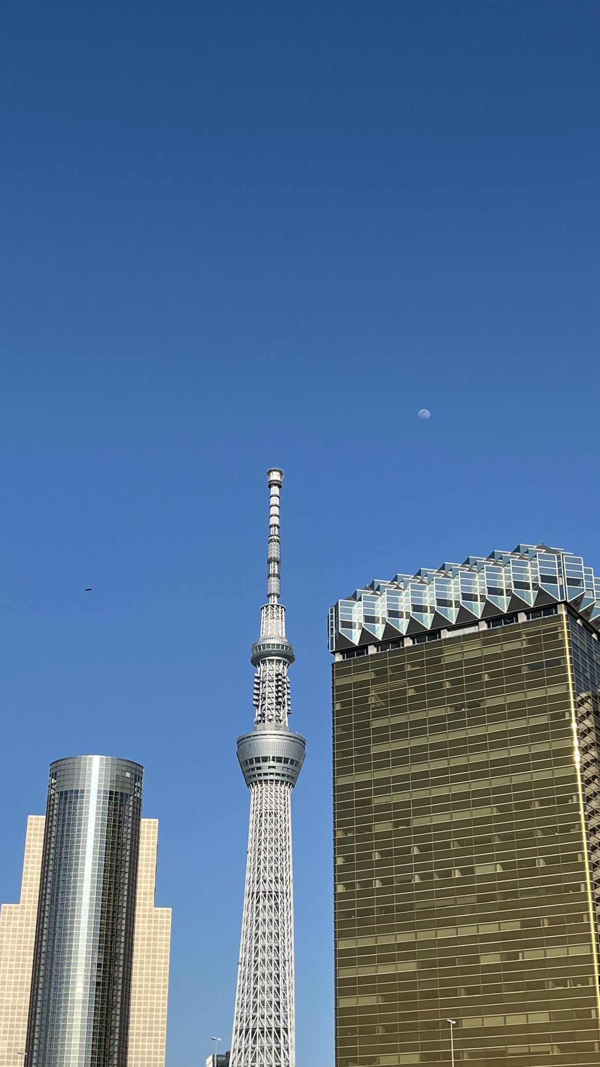 東京晴空塔 | 去趣 chicTrip