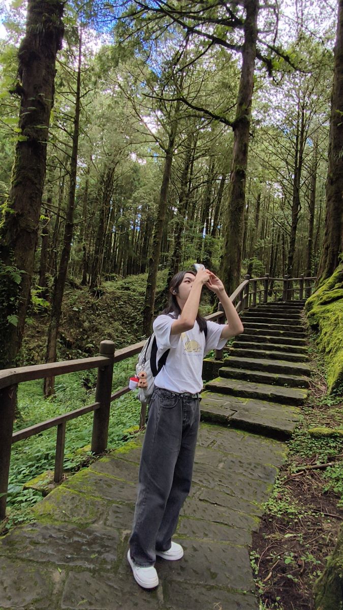 阿里山國家森林遊樂區 | 去趣 chicTrip