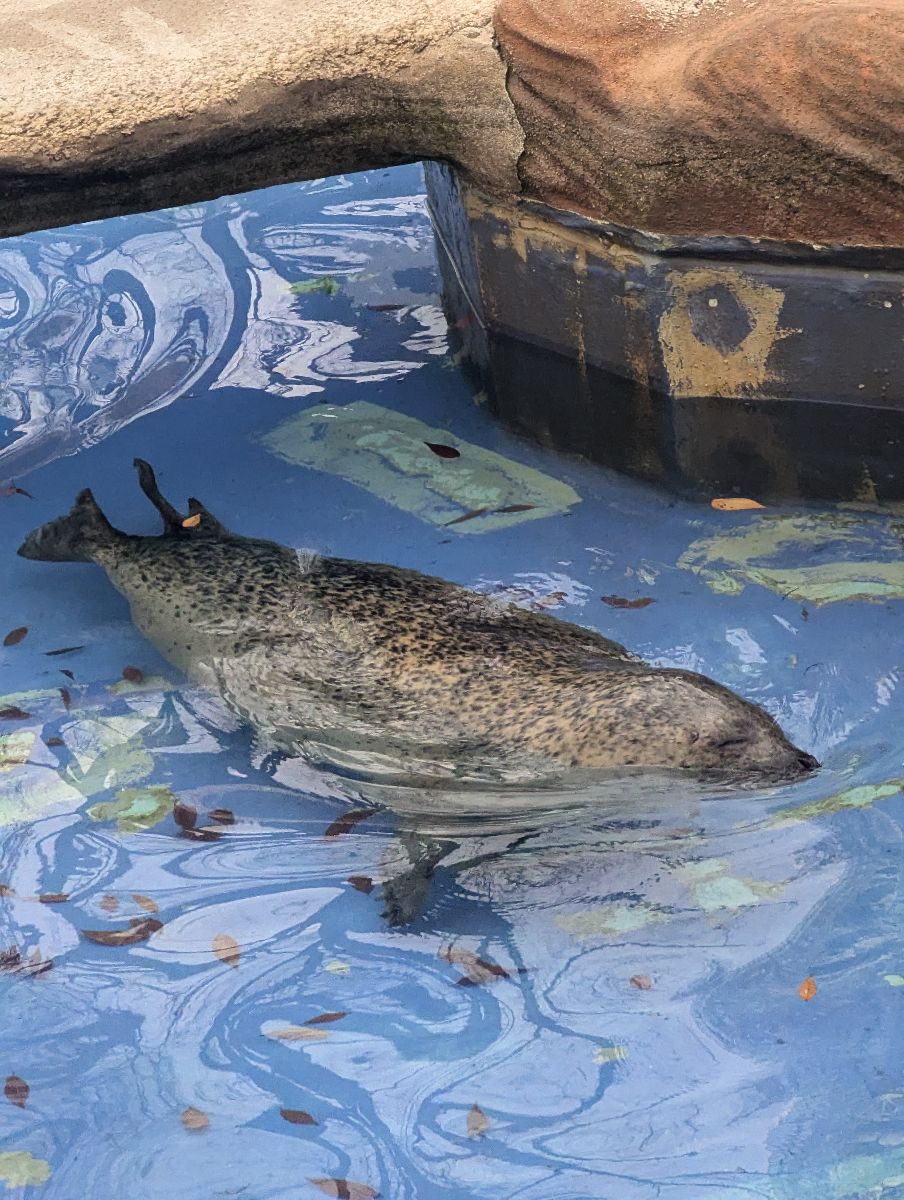 東山動植物園 | 去趣 chicTrip