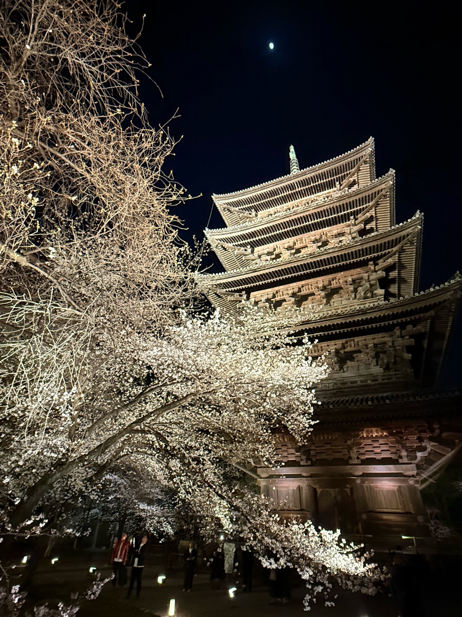 東寺(教王護國寺) | 去趣 chicTrip