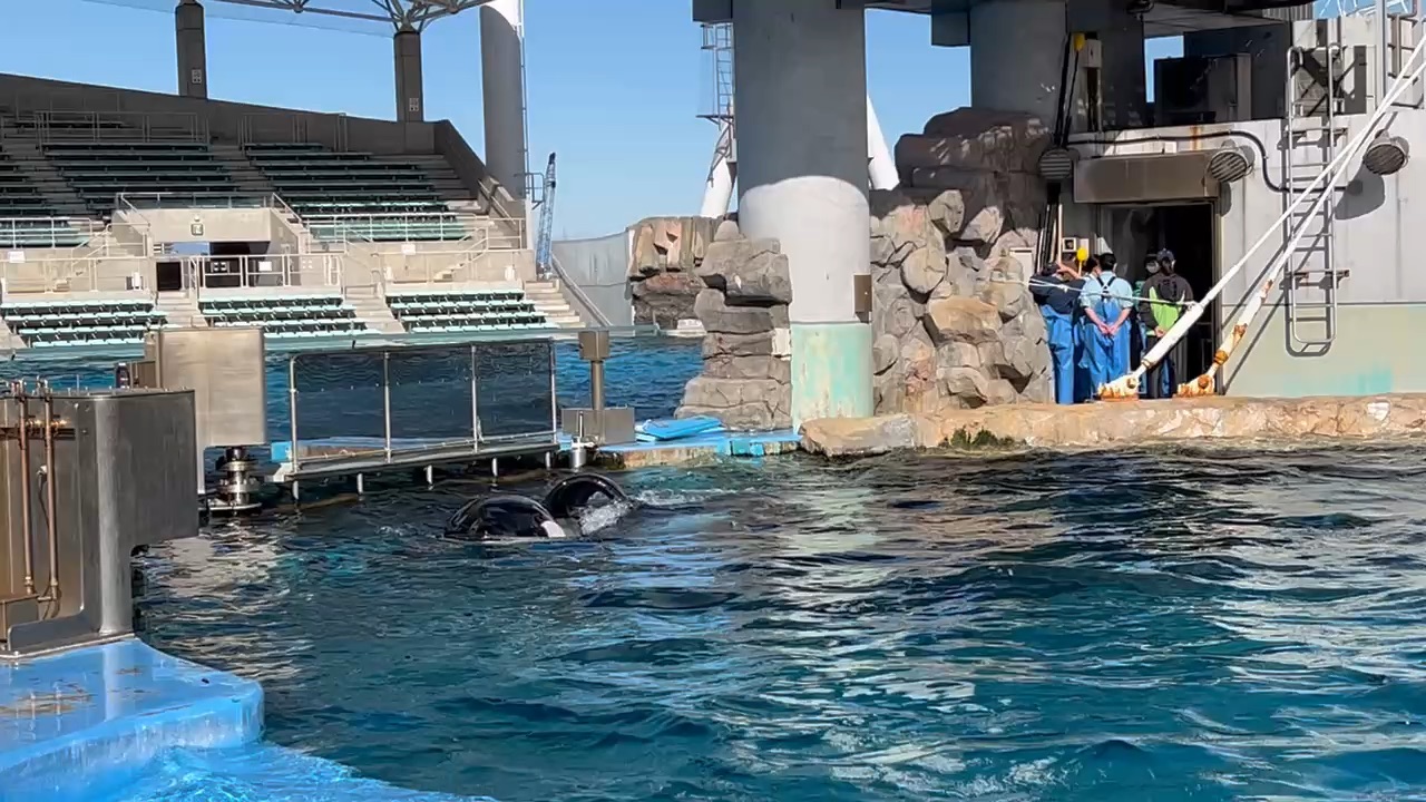 名古屋港水族館 | 去趣 chicTrip