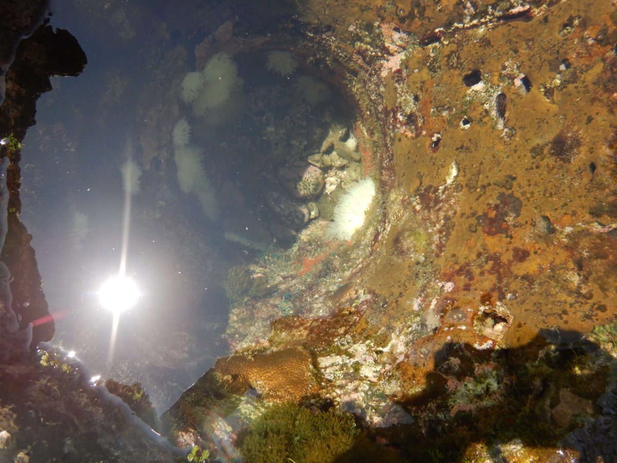 金瓜仔礁（忘憂島） | 去趣 chicTrip