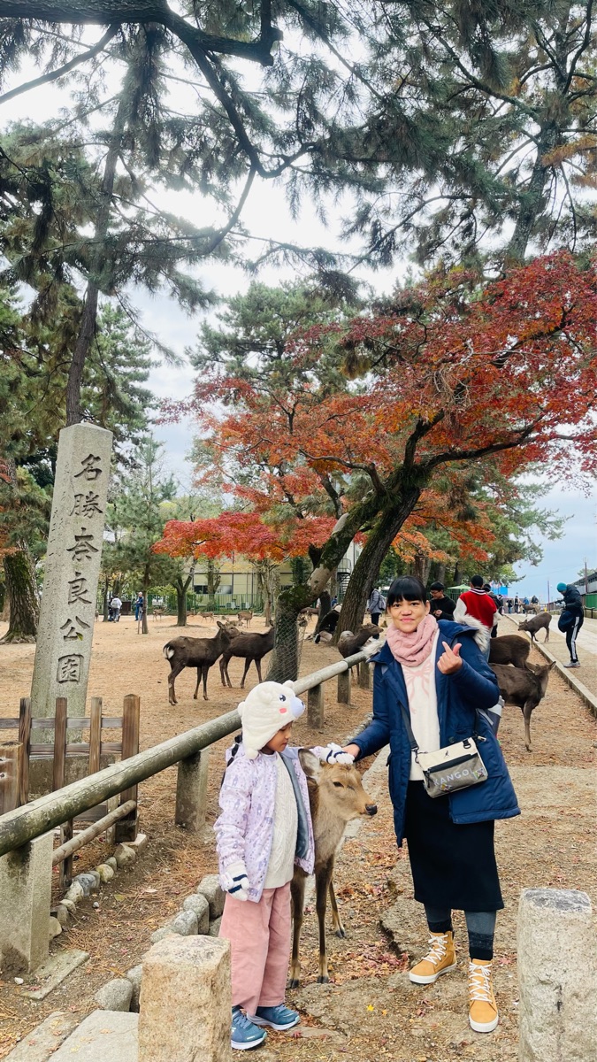 奈良公園 | 去趣 chicTrip