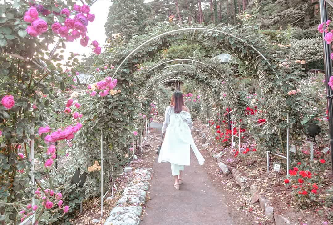 花巻温泉玫瑰園 | 去趣 chicTrip