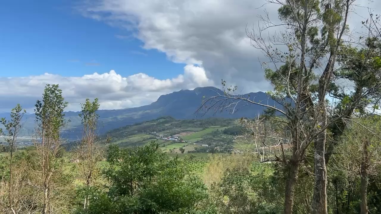 初鹿牧場 | 去趣 chicTrip