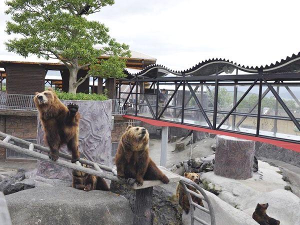 阿蘇卡德利動物樂園 | 去趣 chicTrip