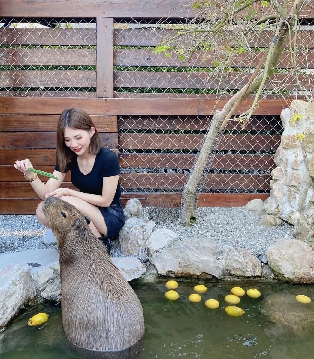 張美阿嬤農場（月森甯手作工坊） | 去趣 chicTrip