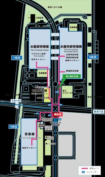 東京都中央批發市場 豐洲市場 水產仲介批發大樓 | 去趣 chicTrip