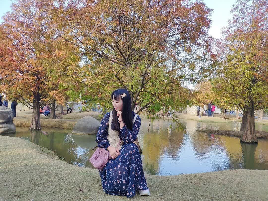 青埔落羽松秘境 | 去趣 chicTrip