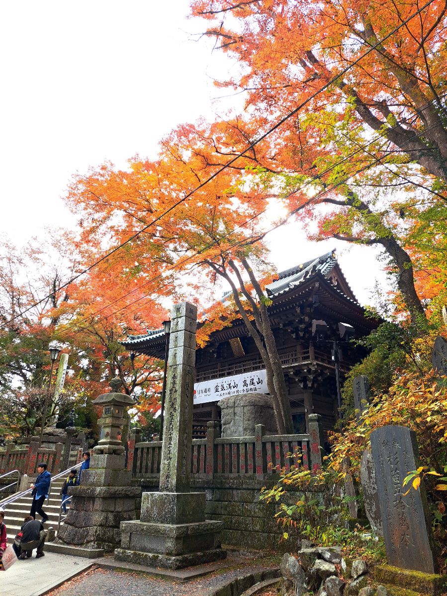 高尾山 | 去趣 chicTrip