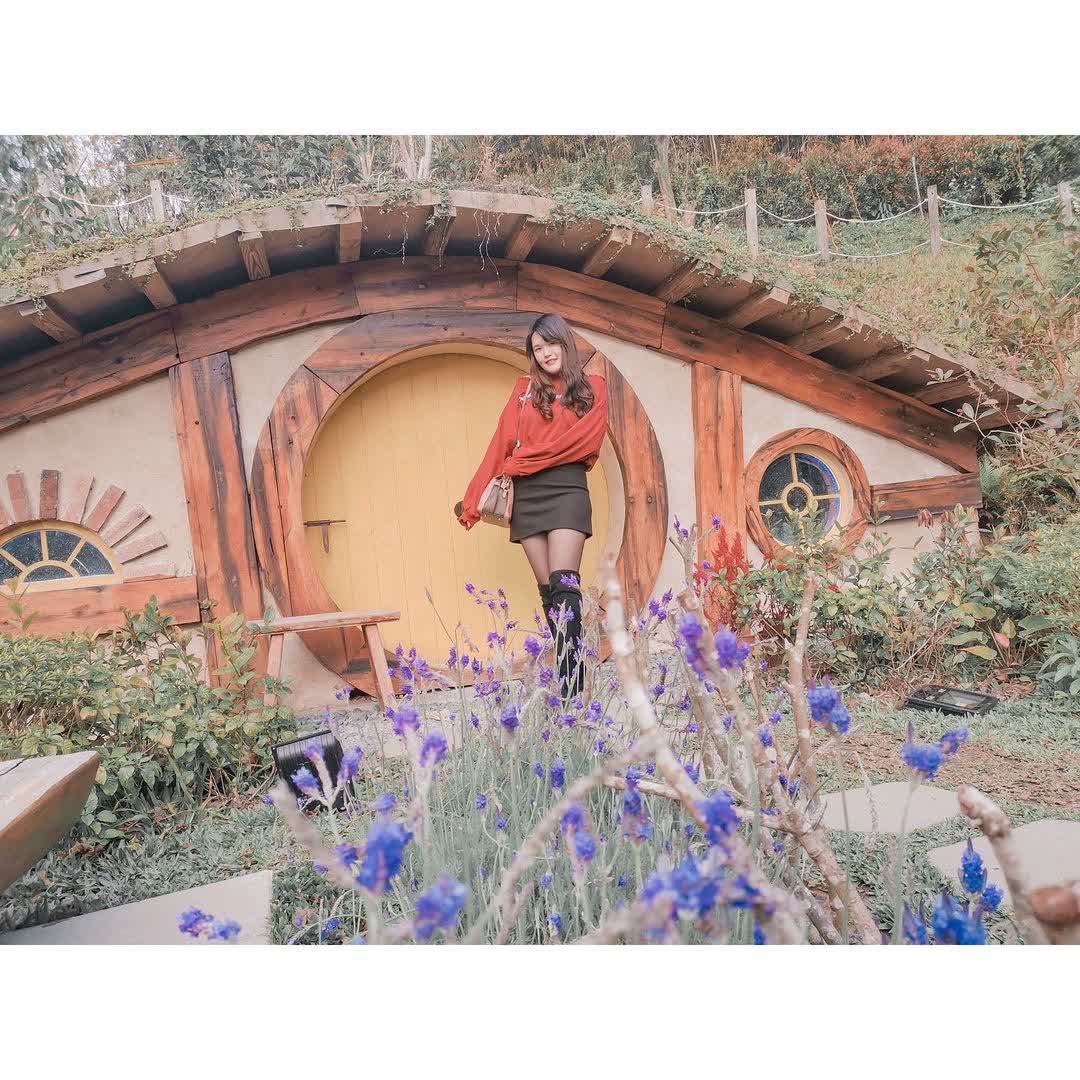 哈比丘茶樹森林 | 去趣 chicTrip