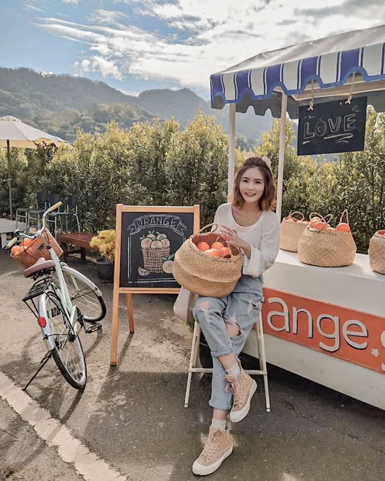 橙香森林 | 去趣 chicTrip