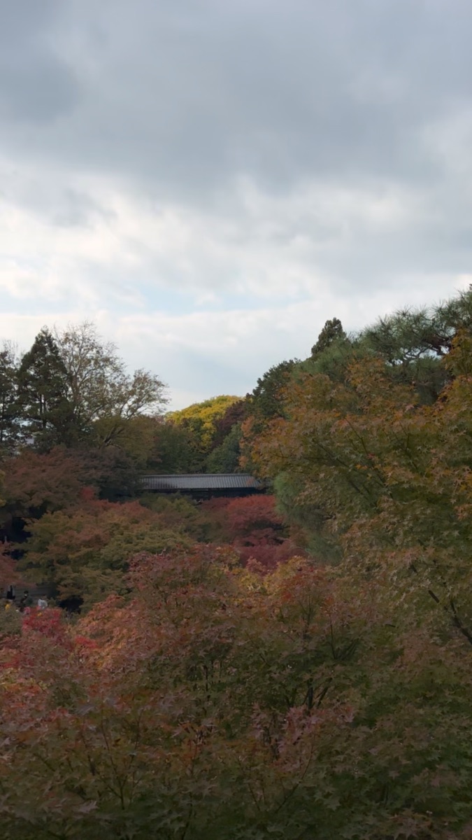 東福寺 | 去趣 chicTrip