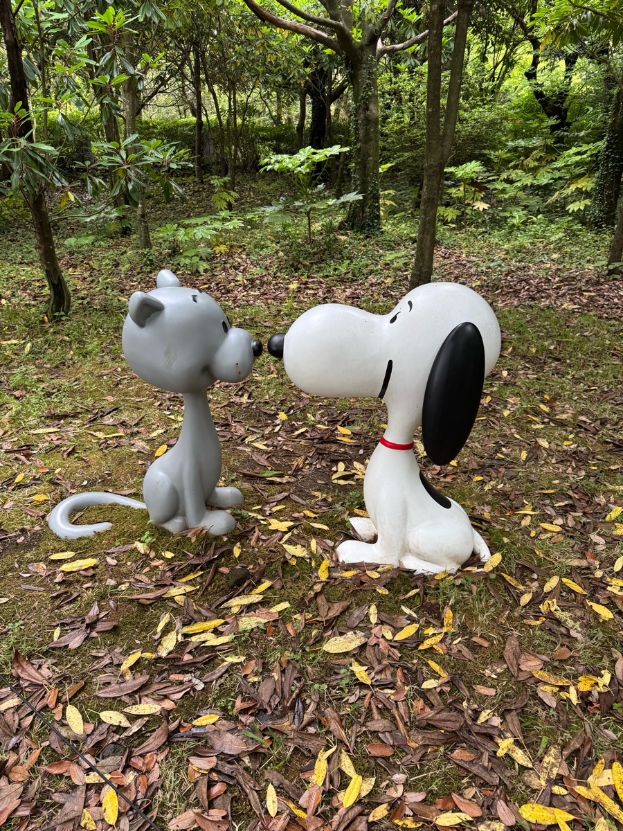 Snoopy Garden | 去趣 chicTrip