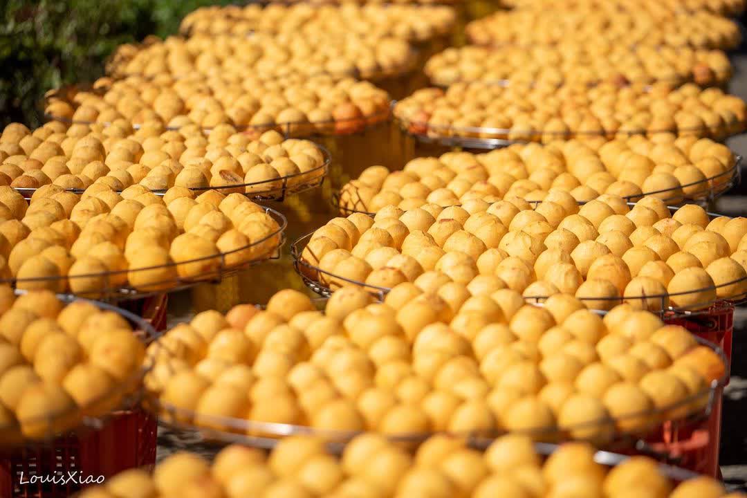 味衛佳柿餅教育農園 | 去趣 chicTrip