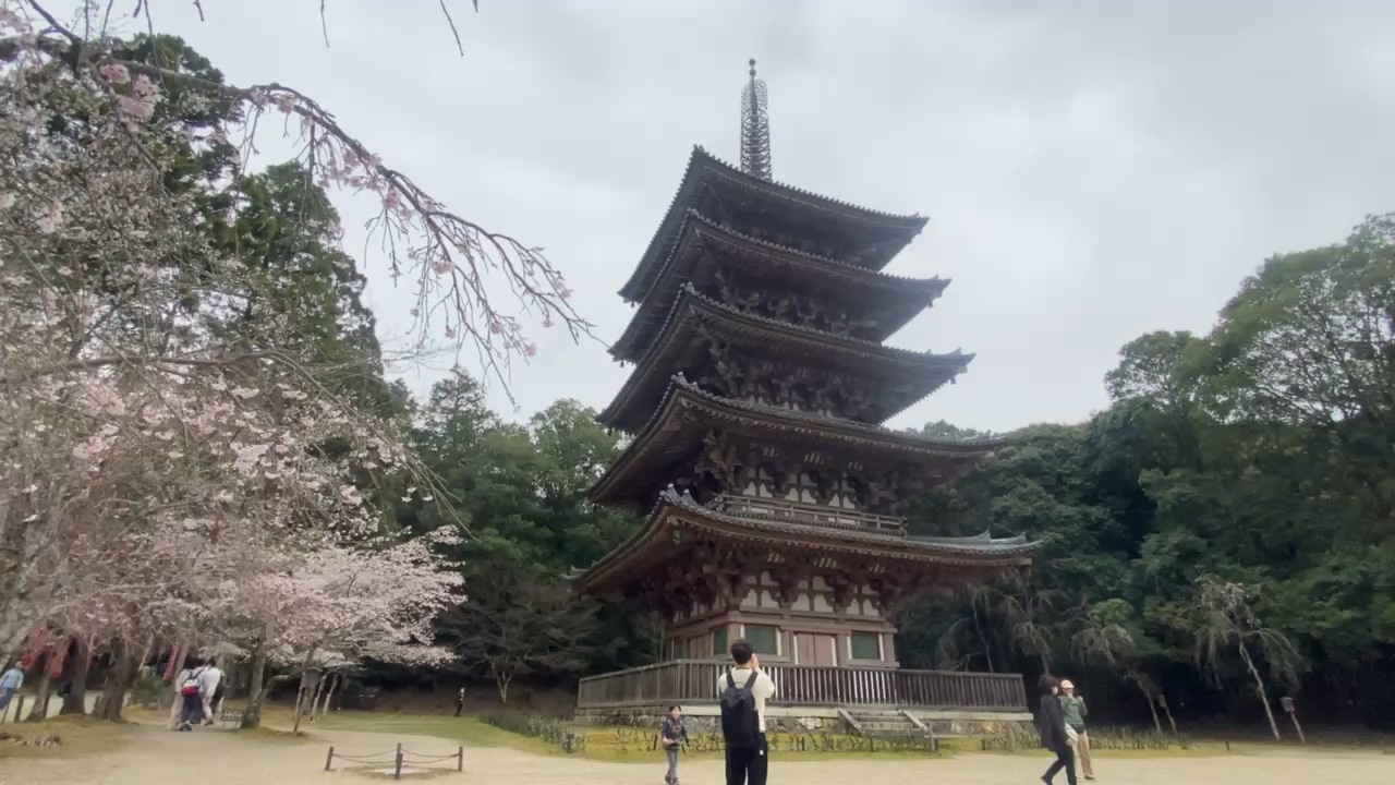 醍醐寺 | 去趣 chicTrip