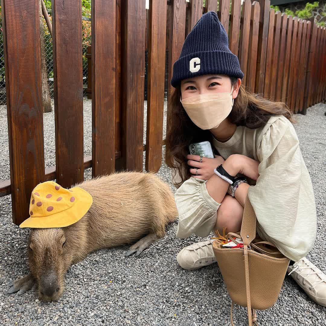 張美阿嬤農場（月森甯手作工坊） | 去趣 chicTrip