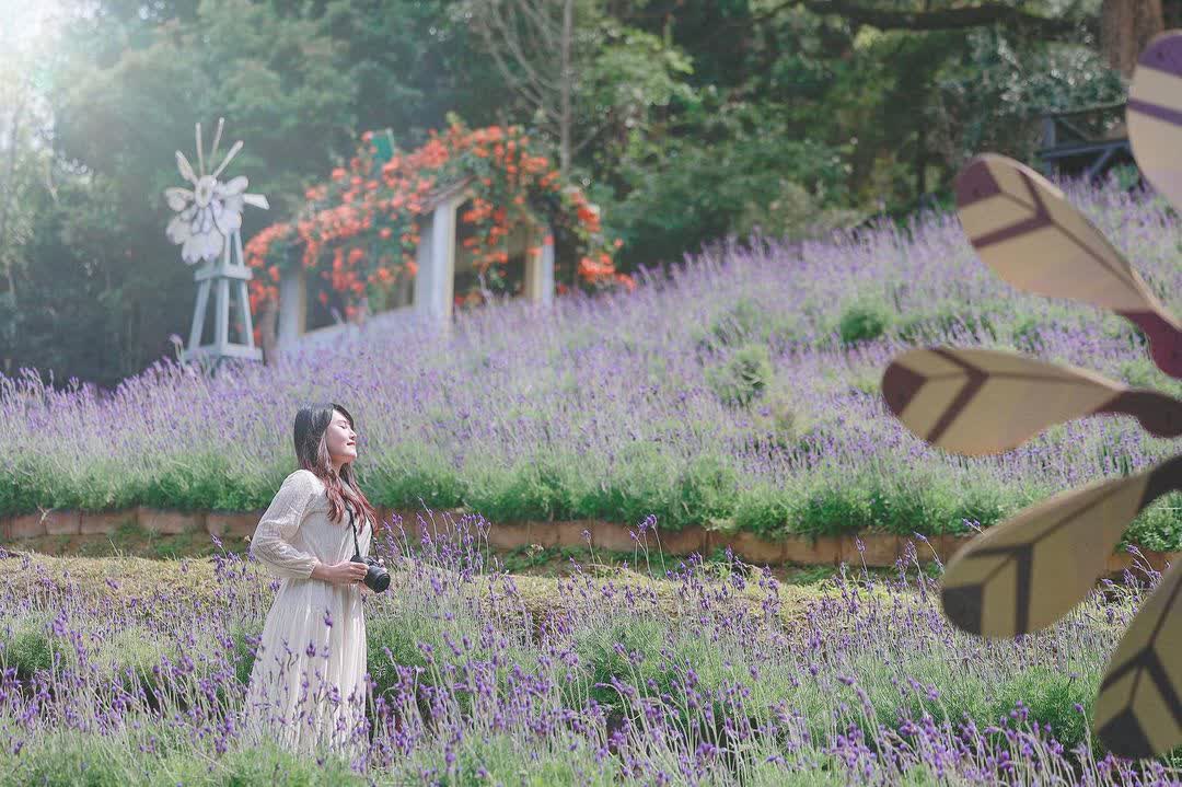 薰衣草森林台中新社店 | 去趣 chicTrip